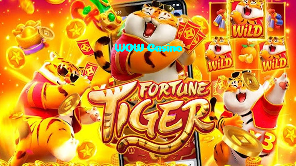 available types of WOW Casino bet including pre-match live express and system bets